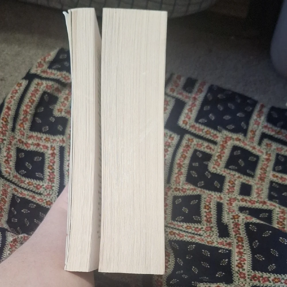 Crescent City Book by Sarah J. Maas - Picture 3 of 3